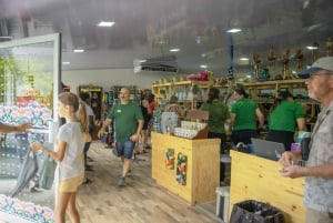 Puerto Limón: passeio de aventura na floresta tropical com Skywalk e tirolesa