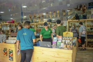 Puerto Limón: passeio de aventura na floresta tropical com Skywalk e tirolesa