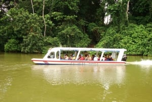 Puerto Limon: Sloth Lovers Shore Excursion at Cahuita Park