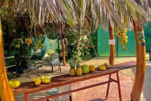 Пуэрто-Лимон: Тортугеро, Маратопия, Кауита, банановая плантация и многое другое: тур