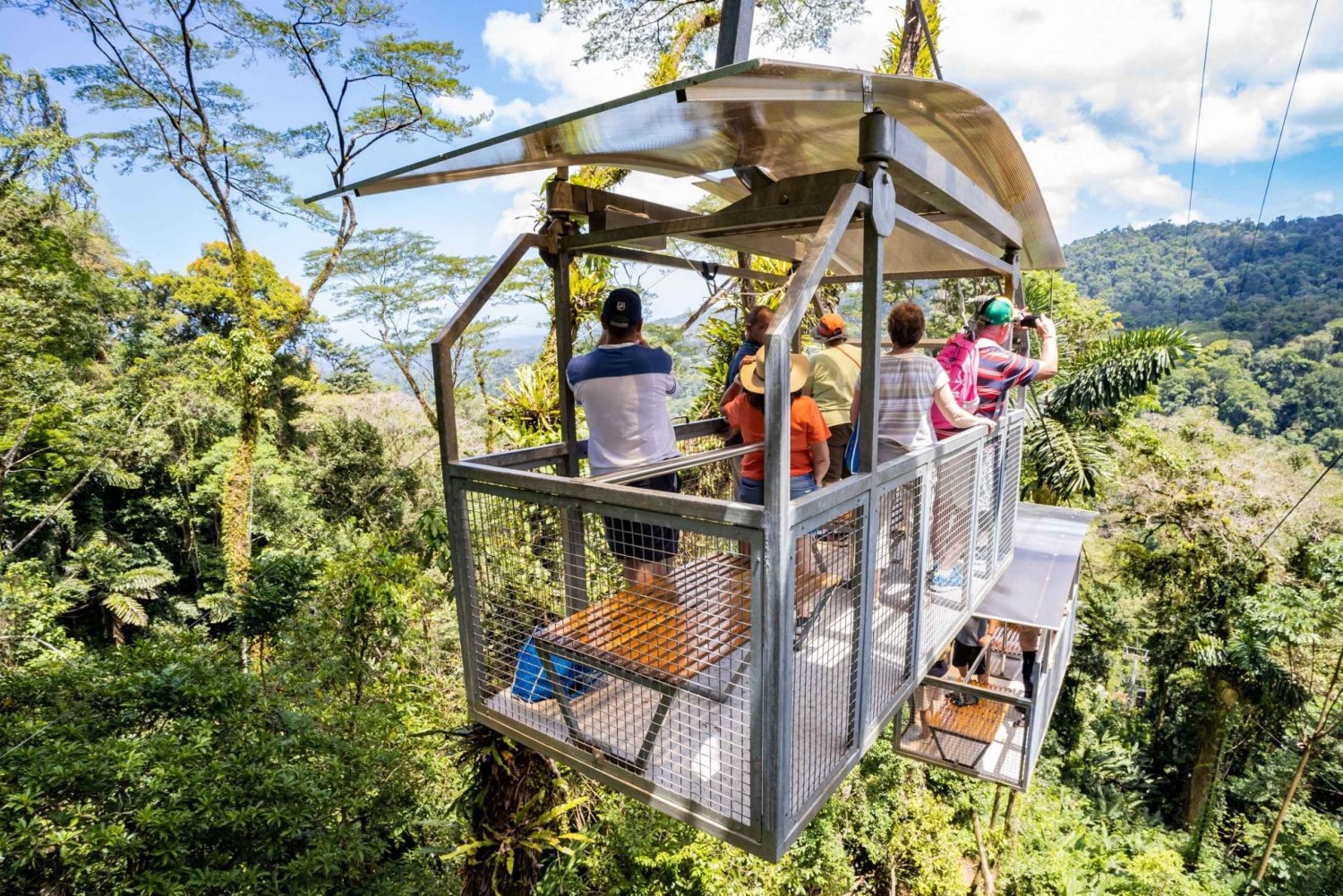 Puerto Limon: Veragua Rainforest & Tortuguero Canal Cruise