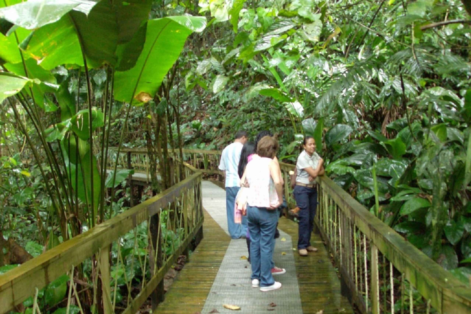 Puerto Limon: Veraguan sademetsä & Tortugueron kanavan risteily