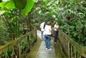 Puerto Limon : Forêt tropicale de Veragua et croisière sur le canal de Tortuguero