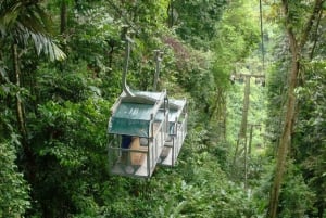 Puerto Limon : Forêt tropicale de Veragua et croisière sur le canal de Tortuguero