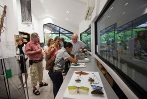 Puerto Limon: Veraguan sademetsä & Tortugueron kanavan risteily