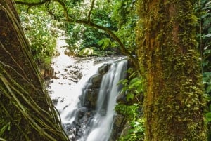 Puerto Limon: Veraguan sademetsä & Tortugueron kanavan risteily