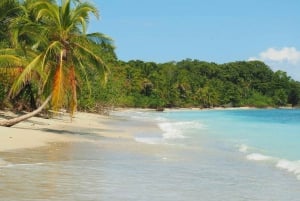 Puerto Viejo: 10-Day Caribbean Coast Adventure Tour