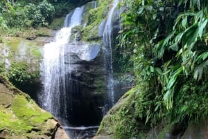 Puerto Viejo&Cahuita: Tour of 3 Waterfalls, Talamanca, Limón