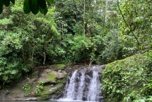 Puerto Viejo&Cahuita: Tour of 3 Waterfalls, Talamanca, Limón