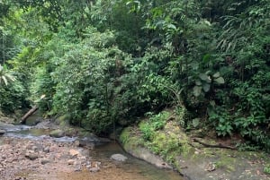 Puerto Viejo&Cahuita: Tour of 3 Waterfalls, Talamanca, Limón