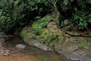 Puerto Viejo&Cahuita: Tour of 3 Waterfalls, Talamanca, Limón