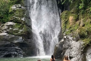 Puerto Viejo&Cahuita: Tour of 3 Waterfalls, Talamanca, Limón