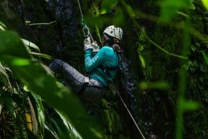 Puerto Viejo: Djungeläventyr med canyoning!