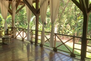 Puerto Viejo: Energetic Chakra Cleansing in the jungle