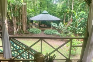 Puerto Viejo : Nettoyage énergétique des chakras dans la jungle