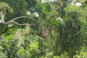 Puerto Viejo : Nettoyage énergétique des chakras dans la jungle
