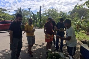 Puerto Viejo: Food and Culture Walking Tour