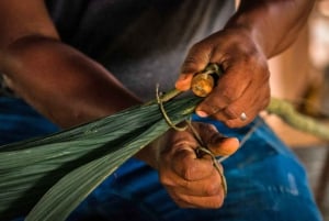 Puerto Viejo: Ureinvånarupplevelse och chokladtur