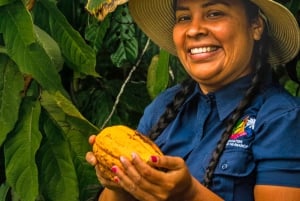 Puerto Viejo: Ureinvånarupplevelse och chokladtur