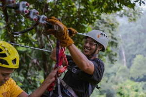 Puerto Viejo Limón: Melhor passeio de canopy / tirolesa