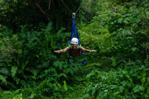 Puerto Viejo Limón: Limón: Paras Canopy Tour / Ziplines