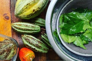 Puerto Viejo: Medicinal and Edible Plant Class