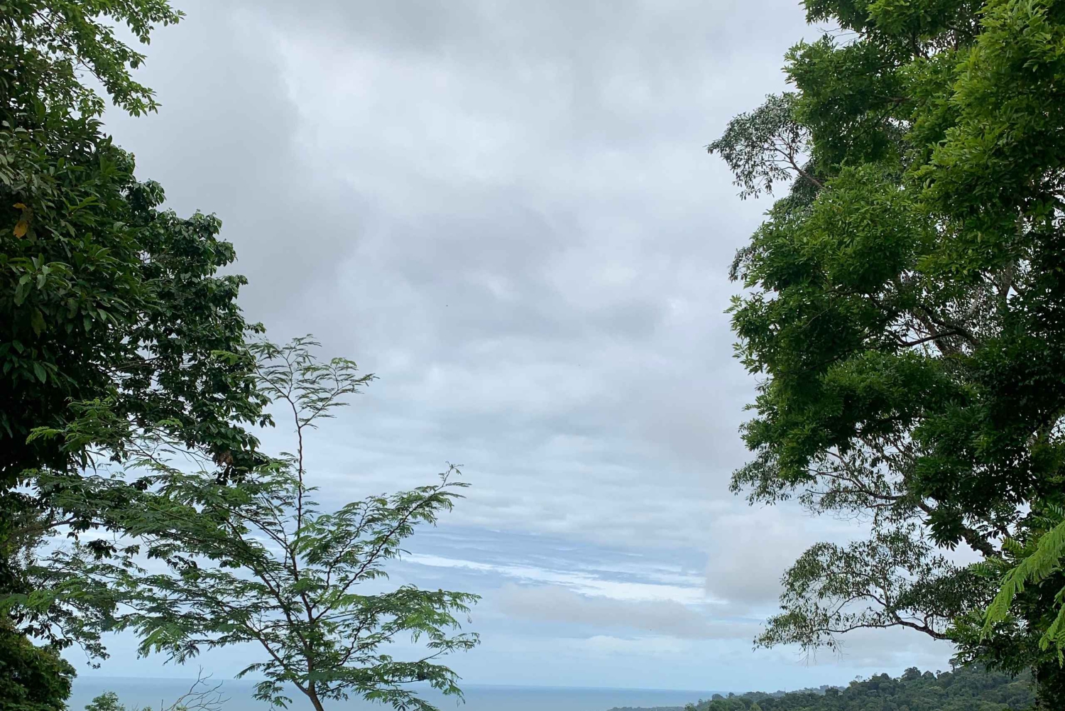 Puerto Viejo lub Cahuita: Wycieczka z lunchem do ukrytych wodospadów Bribri