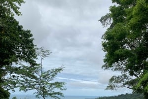 Puerto Viejo eller Cahuita: Utflykt till Bribris dolda vattenfall med lunch