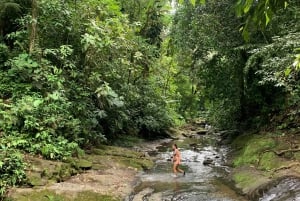 Puerto Viejo eller Cahuita: Utflykt till Bribris dolda vattenfall med lunch