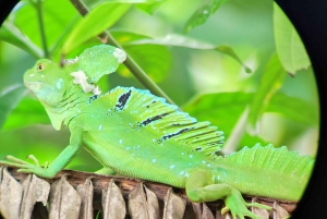 Puerto Viejo;Refugio gandoca Manzanillo+Bribri chocolade maken& waterval