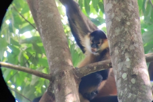 Puerto Viejo;Refugio gandoca Manzanillo+Bribri chocolade maken& waterval