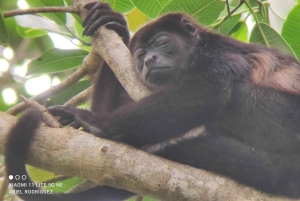 Puerto Viejo;Refugio gandoca Manzanillo+Bribri chocolade maken& waterval