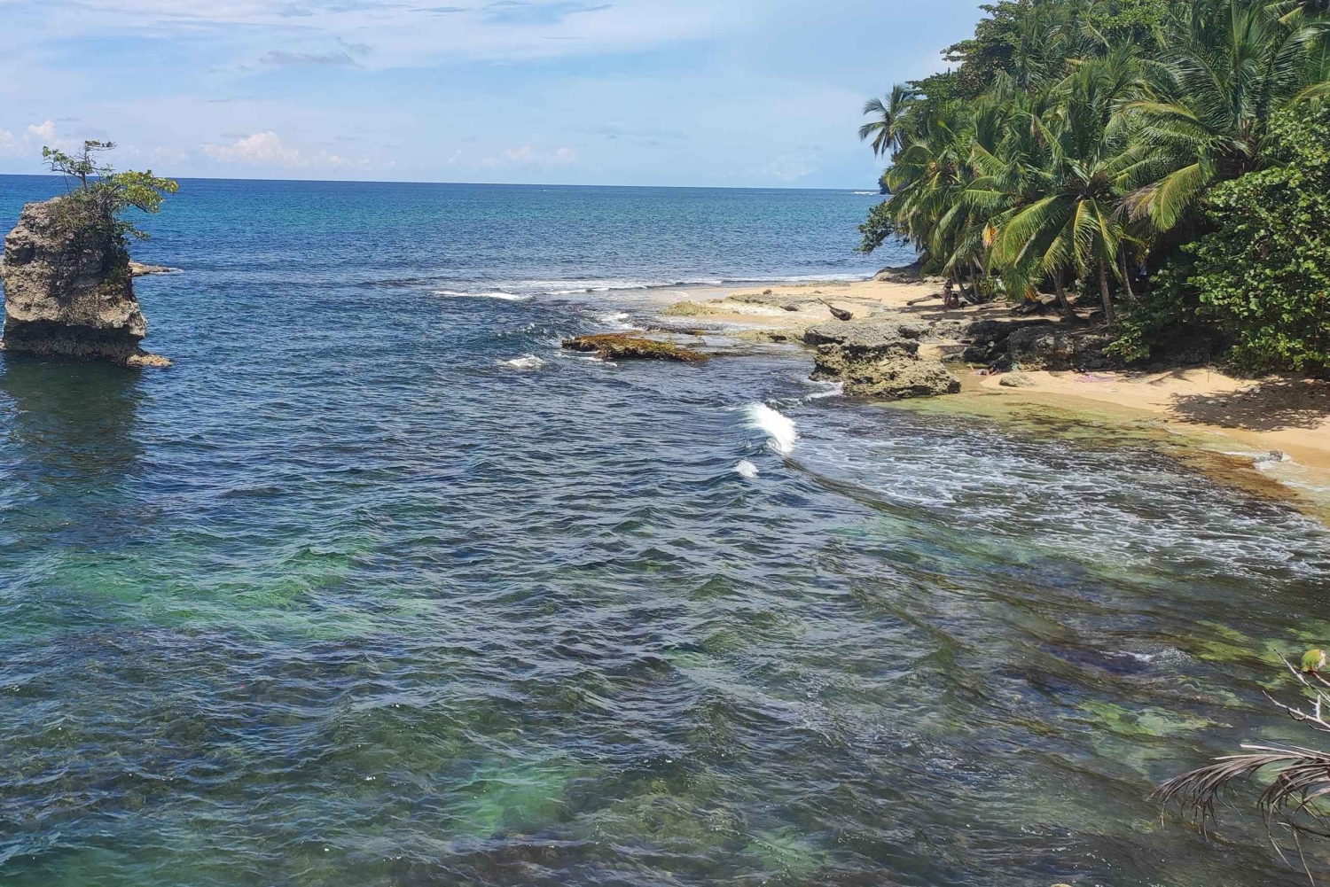 Puerto Viejo Talamanca: Hike through Gandoca Manzanillo Wild Life refuge.