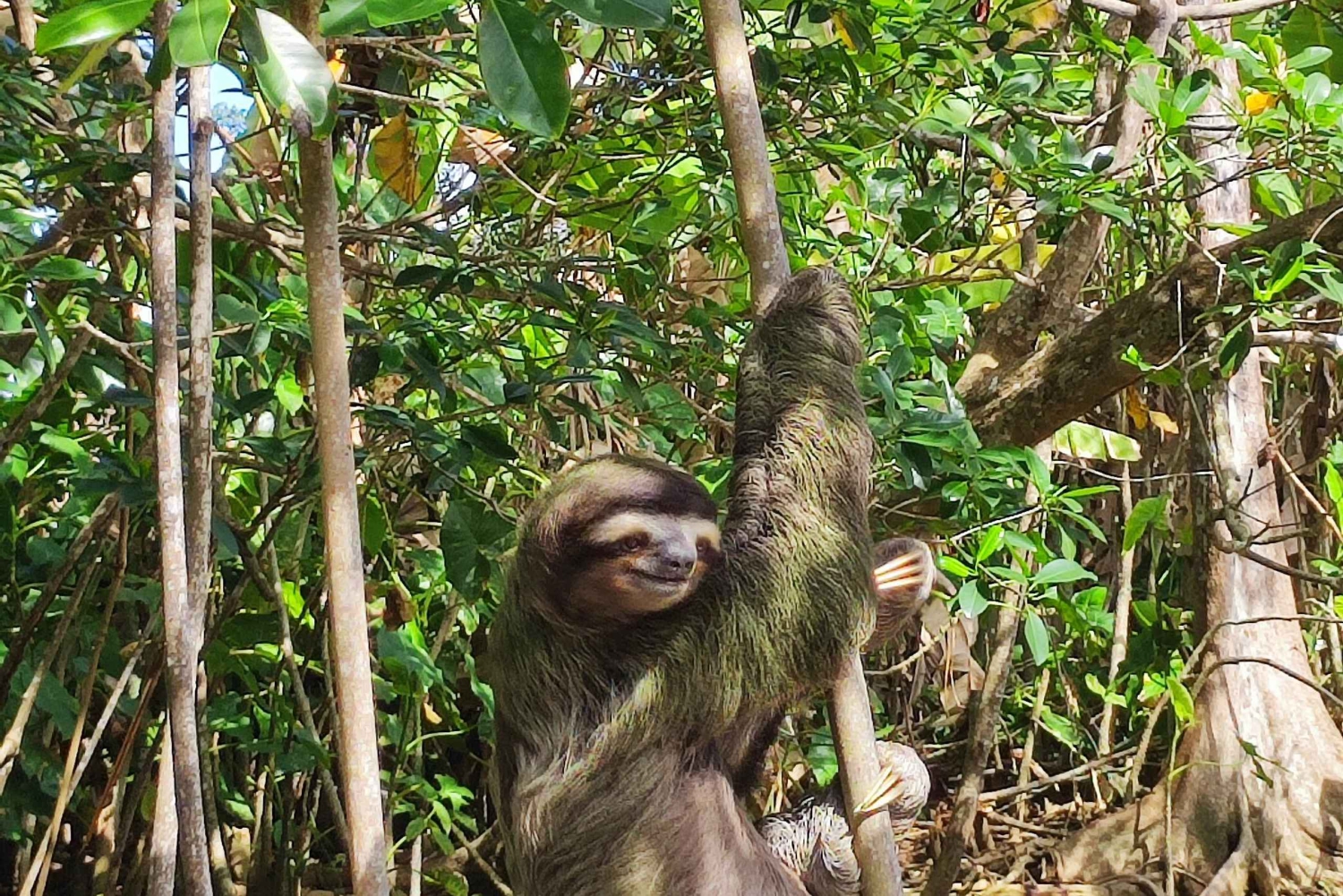 Puerto Viejo Talamanca: Hike through Gandoca Manzanillo Wild Life refuge.
