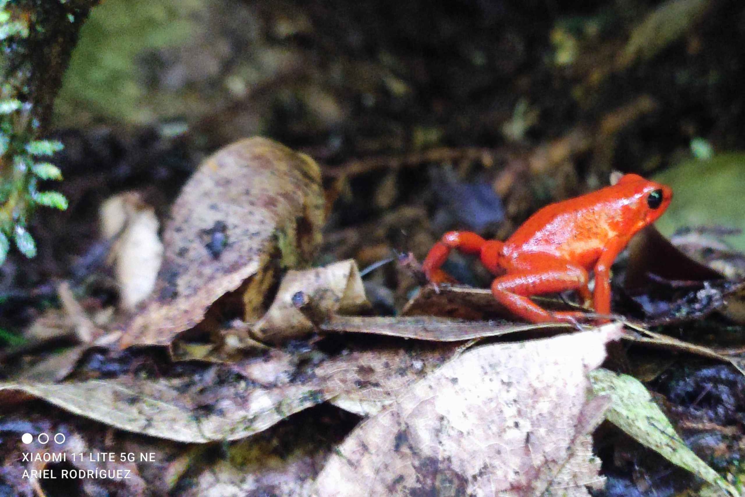 Puerto Viejo Talamanca: Hike through Gandoca Manzanillo Wild Life refuge.