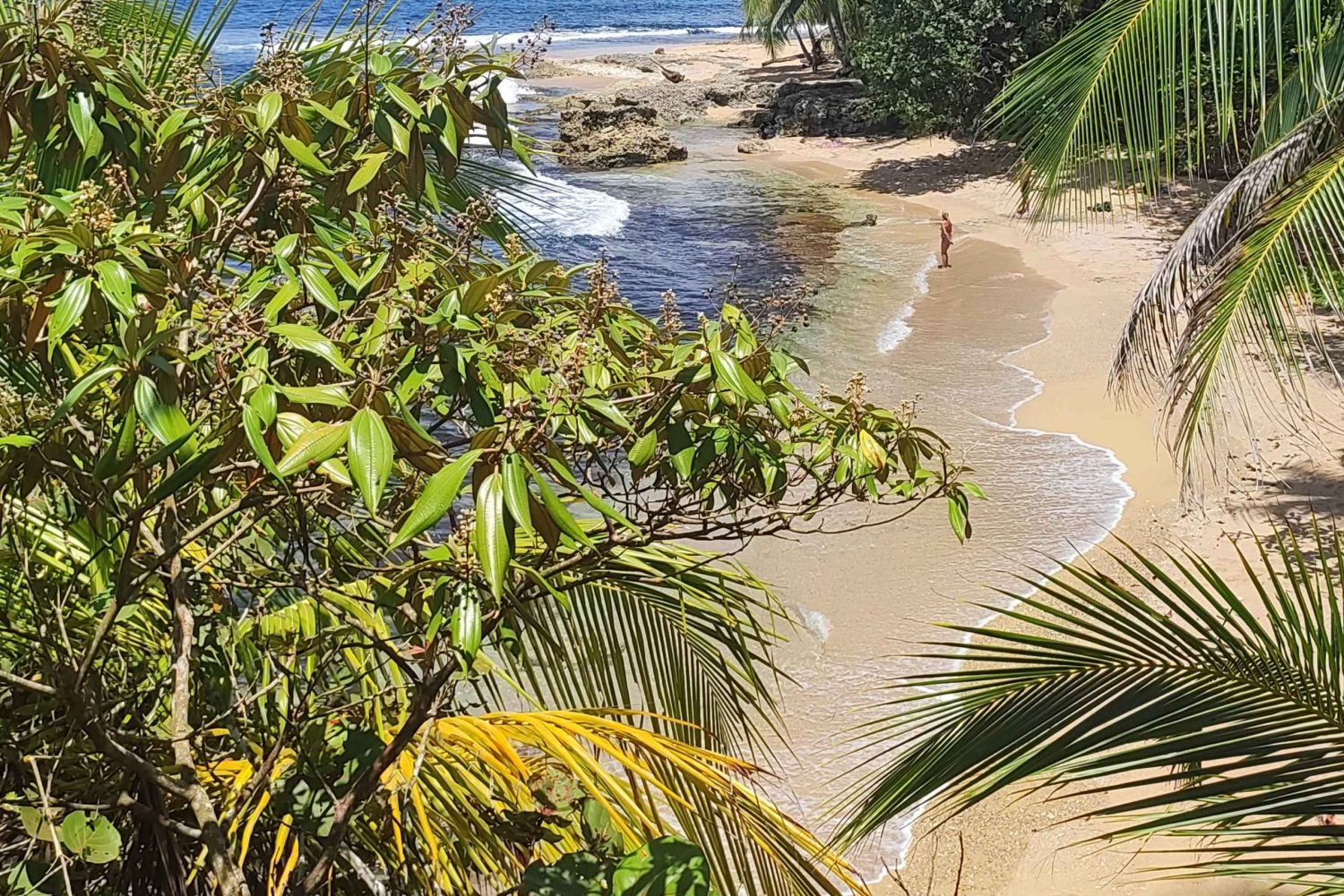 Puerto Viejo Talamanca: Hike through Gandoca Manzanillo Wild Life refuge.