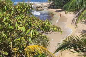 Puerto Viejo Talamanca: Hike through Gandoca Manzanillo Wild Life refuge.