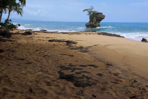 Puerto Viejo Talamanca: Hike through Gandoca Manzanillo Wild Life refuge.