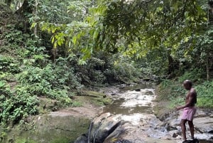 Puerto Viejo Talamanca: Quad Tour 2 vesiputouksella