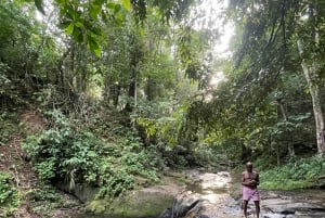 Puerto Viejo Talamanca: Quad Tour 2 vesiputouksella