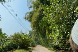 Puerto Viejo Talamanca: Quad Tour 2 vesiputouksella