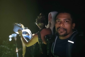 Puerto Viejo: Wildlife Night Tour in the Jungle