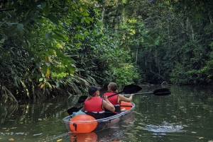Punta Uva: Passeio de caiaque transparente com vistas para a selva e o mar