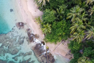 Punta Uva: Kajaktur i gennemsigtig kajak med udsigt over junglen og havet