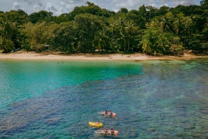 Punta Uva: Kajaktur i gennemsigtig kajak med udsigt over junglen og havet