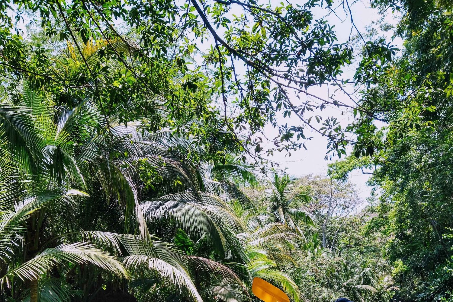 Punta Uva: Kajak- und Faultierbeobachtungstour