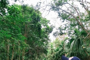 Punta Uva: Uva: Kajakki- ja laiskiaisbongausretki