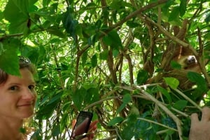 Punta Uva: Uva: Kajakki- ja laiskiaisbongausretki
