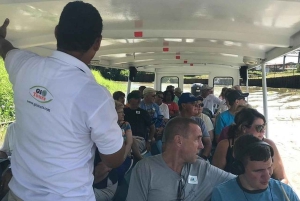 Puntarenas: Villieläin- ja jokisafari