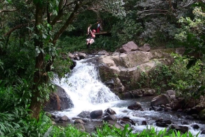 Puntarenas: Svævebanetur over 11 vandfald